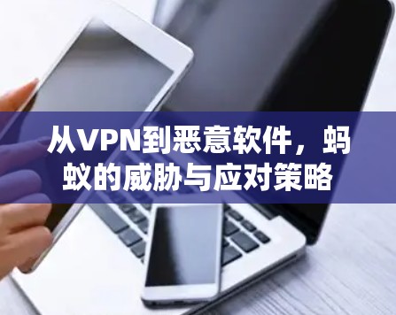 从VPN到恶意软件，蚂蚁的威胁与应对策略