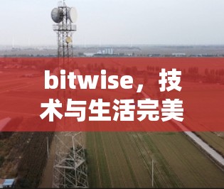 bitwise,技术与生活完美融合 bitwise,技术与生活完美融合