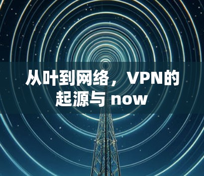 从叶到网络,VPN的起源与 now 从叶到网络,VPN的起源与 now