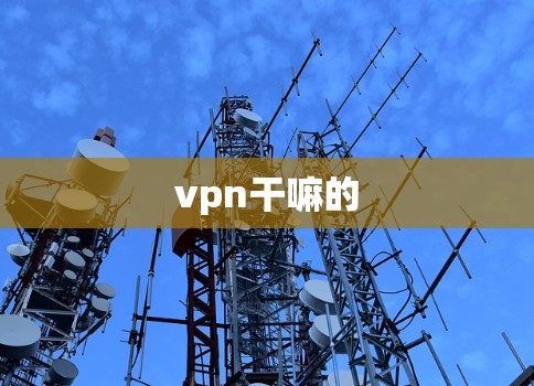 vpn干嘛的 vpn干嘛的