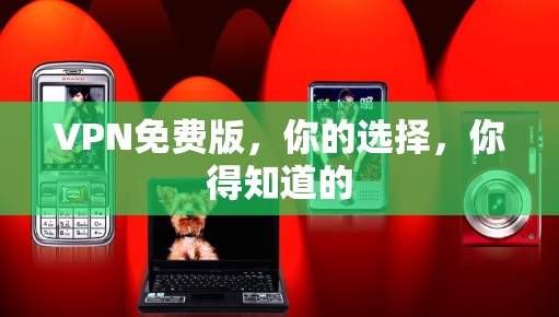 VPN免费版,你的选择,你得知道的 VPN免费版,你的选择,你得知道的