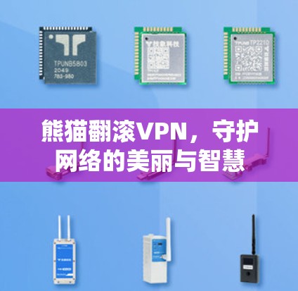 熊猫翻滚VPN,守护网络的美丽与智慧 熊猫翻滚VPN,守护网络的美丽与智慧