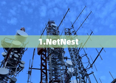 1.NetNest 1.NetNest
