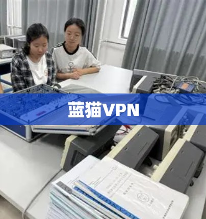 蓝猫VPN