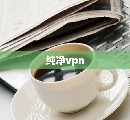 纯净vpn 纯净vpn