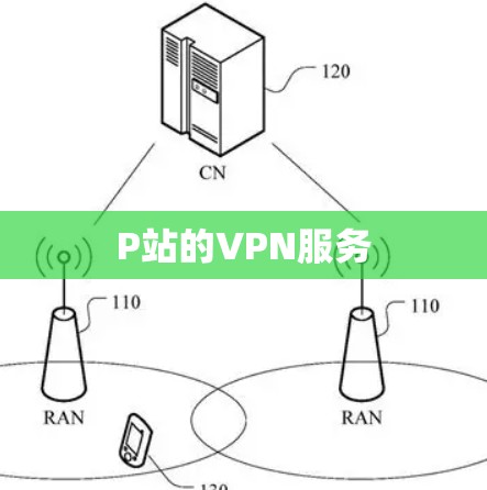 P站的VPN服务