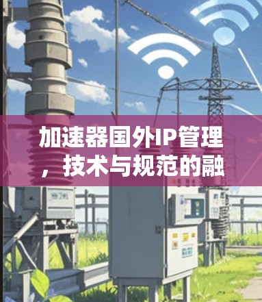 加速器国外IP管理，技术与规范的融合