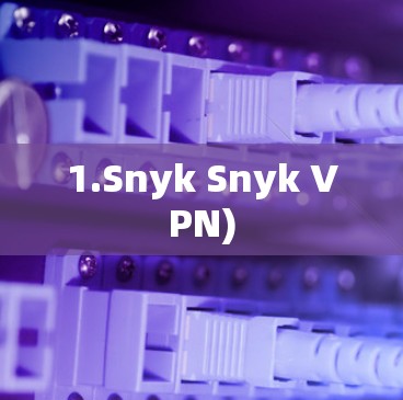 1.Snyk Snyk VPN)