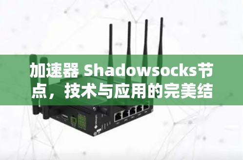 加速器 Shadowsocks节点，技术与应用的完美结合—为网络连接注入更安全的数字桥梁
