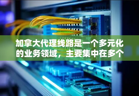 加拿大代理线路是一个多元化的业务领域，主要集中在多个主要城市和关键行业。以下是对加拿大代理线路的详细分析