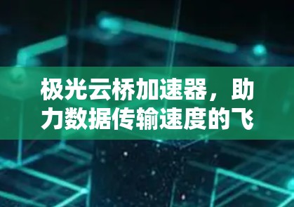 极光云桥加速器，助力数据传输速度的飞跃
