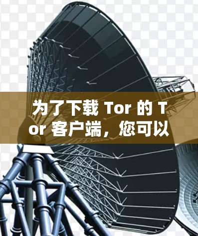 为了下载 Tor 的 Tor 客户端，您可以按照以下步骤进行