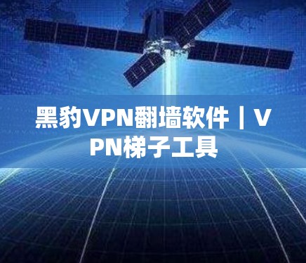 黑豹VPN翻墙软件｜VPN梯子工具
