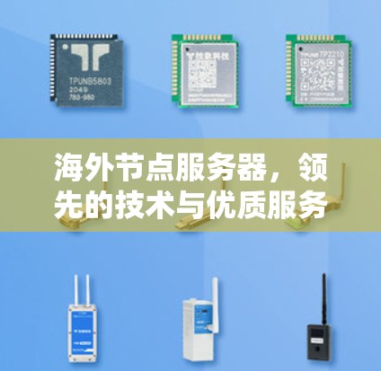 海外节点服务器，领先的技术与优质服务