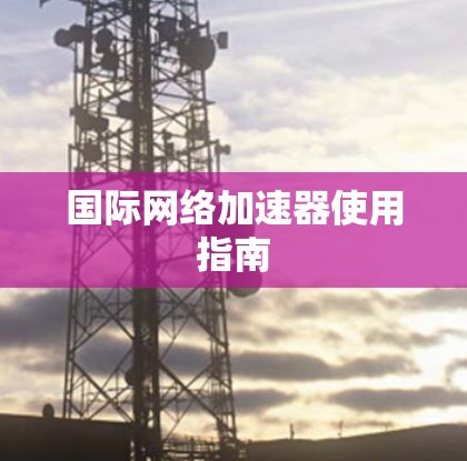 国际网络加速器使用指南