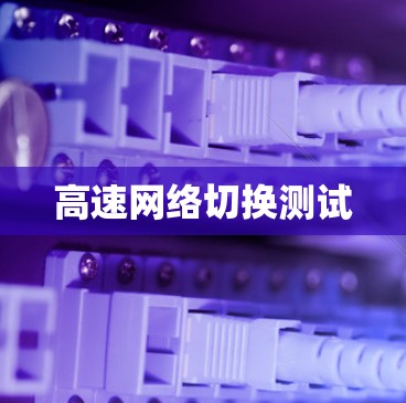 高速网络切换测试