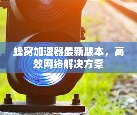 蜂窝加速器最新版本，高效网络解决方案