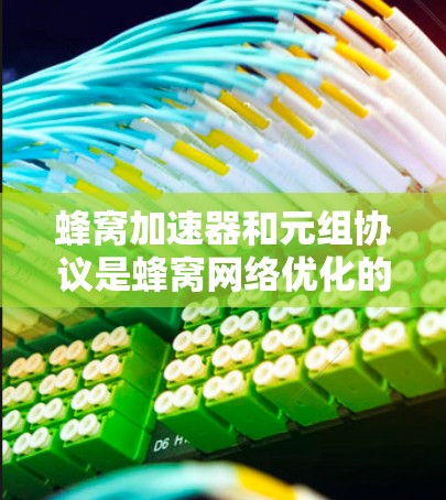 蜂窝加速器和元组协议是蜂窝网络优化的重要工具，它们共同作用于蜂窝网络，提升数据传输效率。以下是详细的优化步骤和注意事项