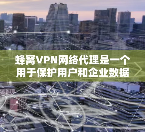 蜂窝VPN网络代理是一个用于保护用户和企业数据的安全网络服务。以下是对蜂窝VPN的详细总结