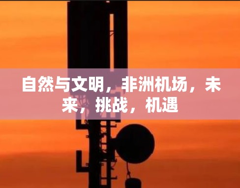 自然与文明,非洲机场,未来,挑战,机遇 自然与文明,非洲机场,未来,挑战,机遇